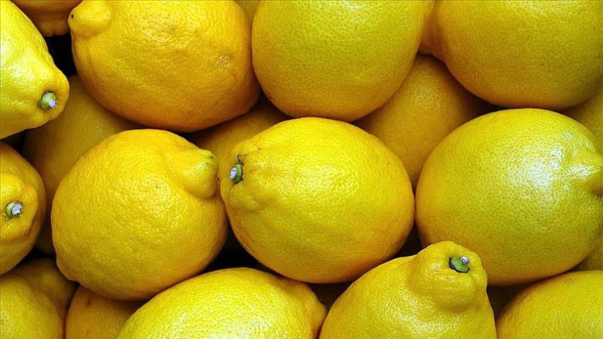 EGE'NİN LİMONLARI YOLCU