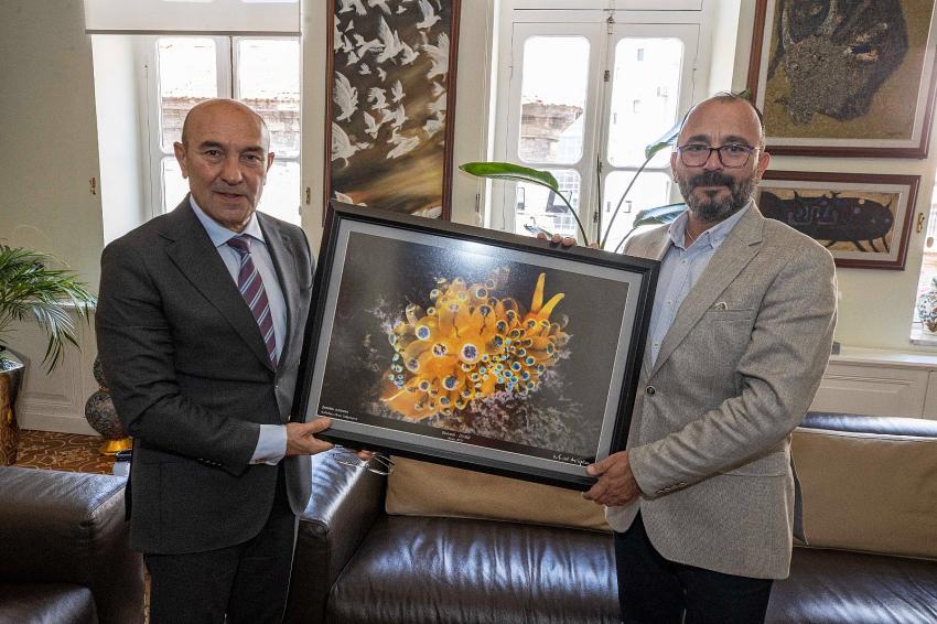 KOKUDAN DURULMUYOR..İZMİR BÜYÜKŞEHİR NE DİYOR?