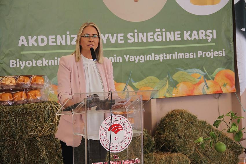 AK PARTİLİ BÖLÜNMEZ SOYER'E NEDEN DÖNDÜĞÜNÜ SORDU