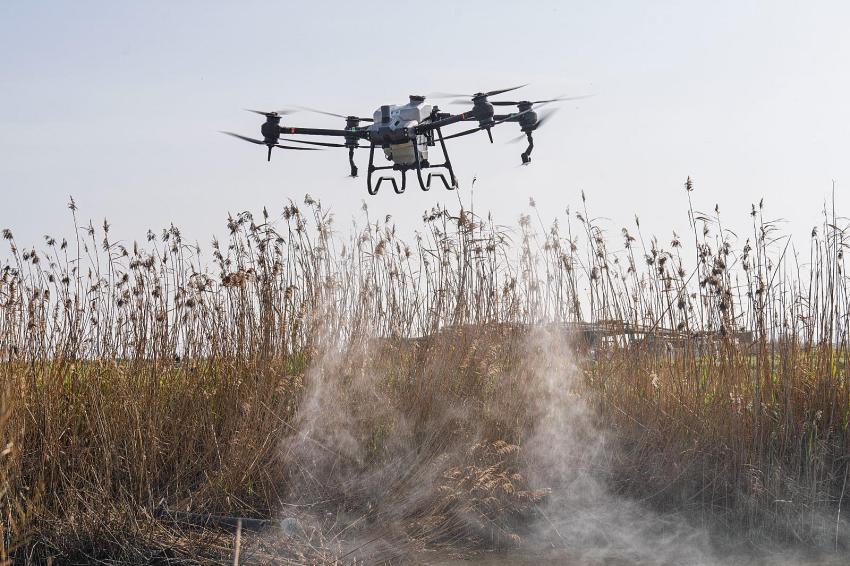 İZMİR'DE HASTALIK TAŞIYAN SİNEKLERLE MÜCADELE BAŞLATILDI