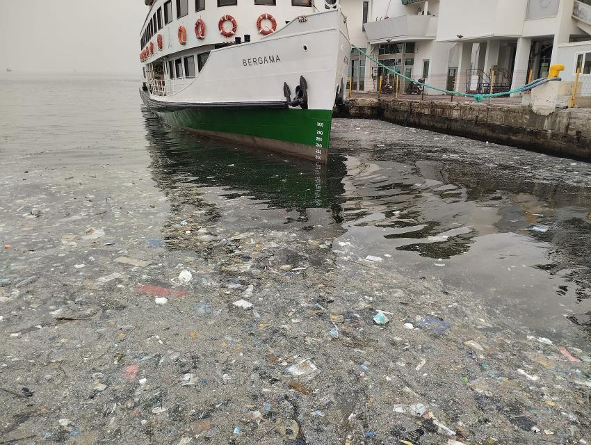 YERSENİZ..İZMİR ÇİÇEK AÇTI. ÖNÜ BÖYLE ARKASI ŞÖYLE..TIKLAYIN BAK