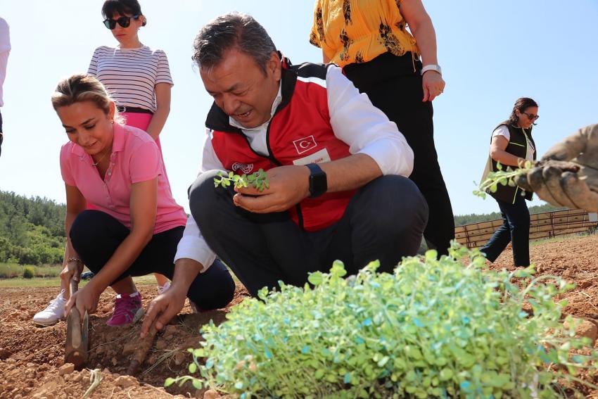 İZMİR'İN DAĞLARI KEKİK KOKACAK