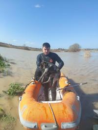 4 CAN SELDE ÖLDÜ TAVUKLAR KURTARILDI