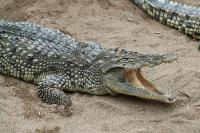 ÖĞRENCİLERE DOĞAL YAŞAM PARKI ÜCRETSİZ