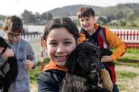 İZMİR'DE AİLELER BARINAKLARA KOŞTU