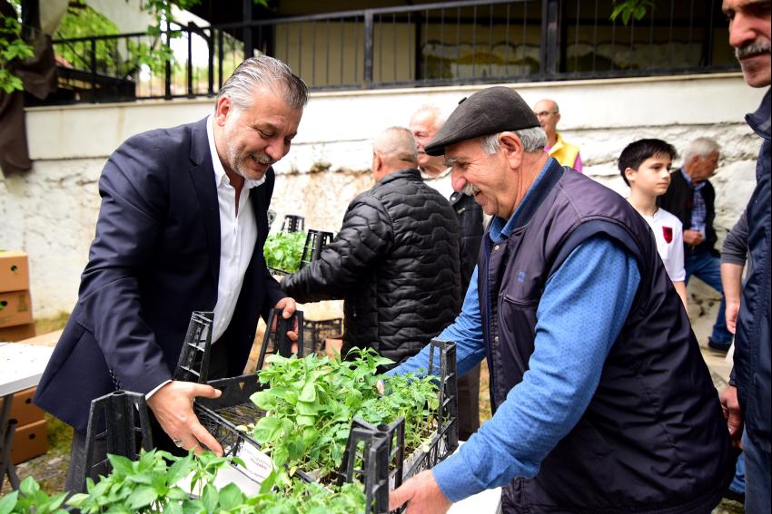 BORNOVA'DA YEREL ÜRETİCİYE 500 BİN FİDE