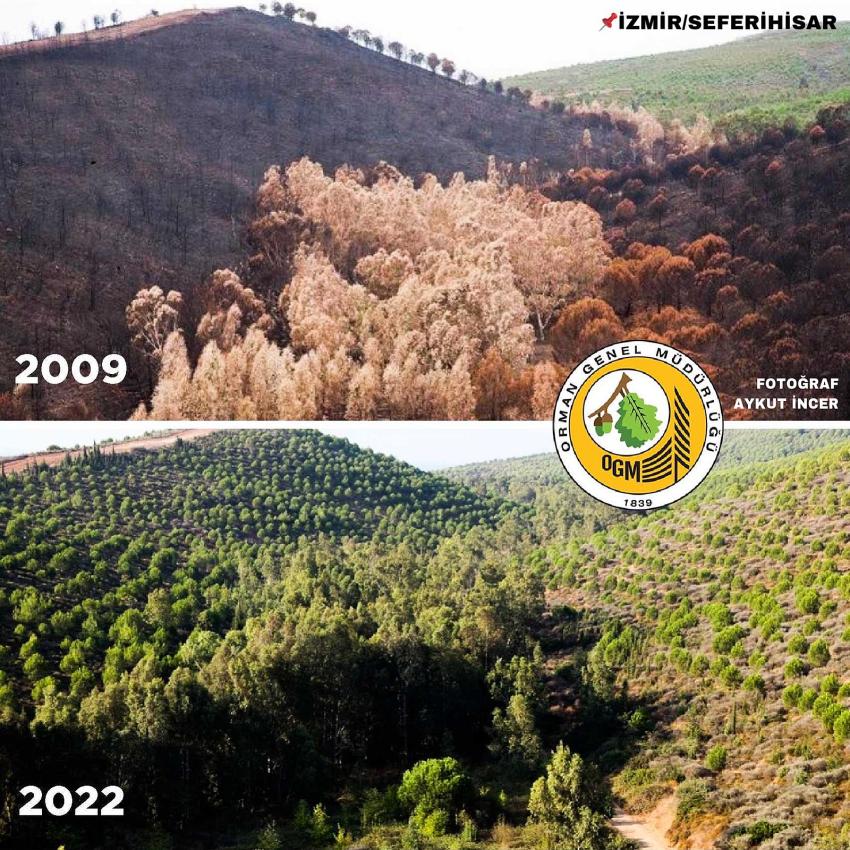 SEFERİHİSAR YEŞERİYOR