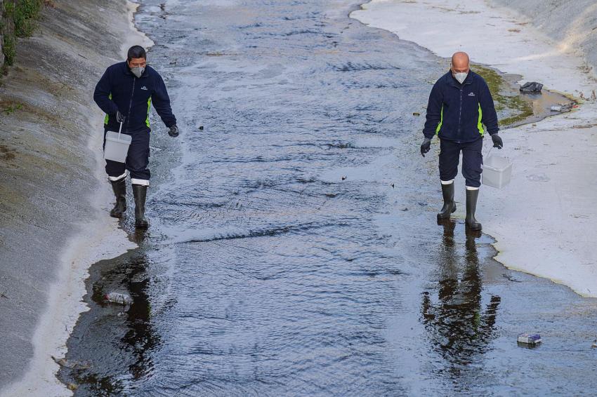 İZMİR'DE O SİNEKLER ZARARSIZMIŞ